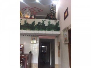 Nhà đất 11x50m mặt tiền đường Lộ Xoài,xã Long An,Châu Thành,Tiền Giang