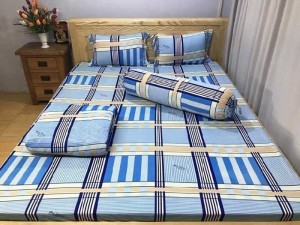 Drap sọc caro thun hàn quốc