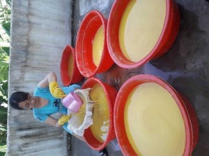 Tinh bột nghệ nhà e làm
