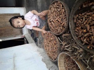 Tinh bột nghệ nhà e làm
