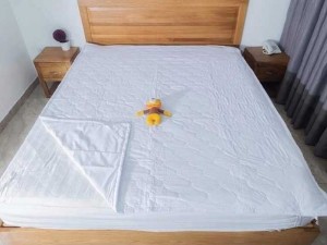 Tấm bảo vệ nệm cotton Thắng lợi m6/m8