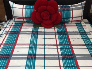 Drap sọc caro cotton Thắng lợi