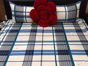 Drap sọc caro cotton Thắng lợi