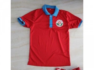 Sỉ lẻ áo thun hoa phượng đỏ giá tốt