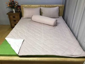 Tấm lót bảo vệ nệm thắng lợi