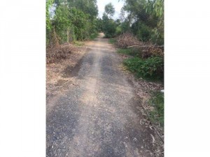8 công đất mặt tiền đường kênh chợ Bưng ấp 1,Tam Hiệp,Châu Thành,Tiền Giang