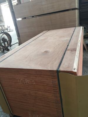 Mặt ván