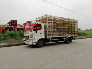 Xe chở gia cầm gà vit 6 tấn Hino FC