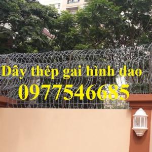 dây kẽm lam hình dao