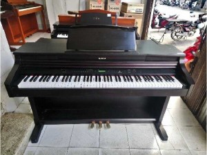 Đàn piano PW 950