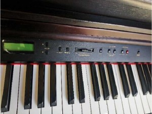 Đàn piano PW 950
