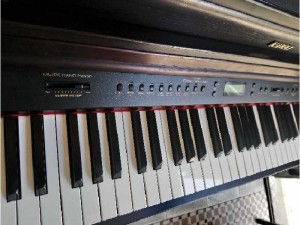 Đàn piano PW 950