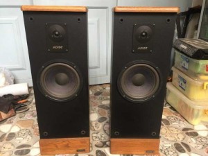 Loa ADVENT Prodigy Tower USA