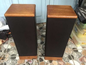 Loa ADVENT Prodigy Tower USA
