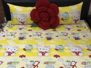 Drap mèo kitty cotton VN