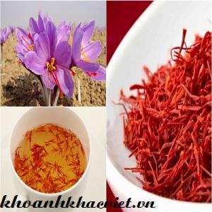 Nhụy Hoa Nghệ Tây