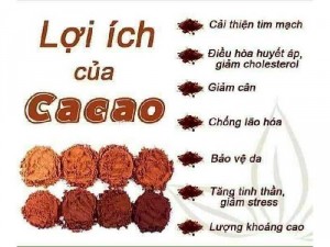 Bột cacao daklak nguyên chất 100%