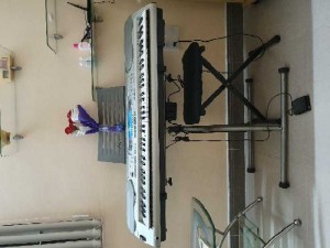 Casio wk 3300