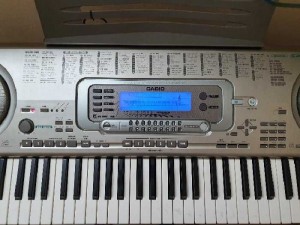 Casio wk 3300