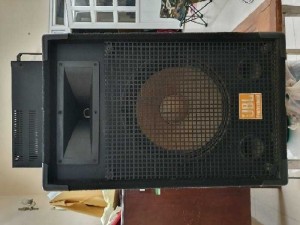 Amply, hai loa lớn 30cm