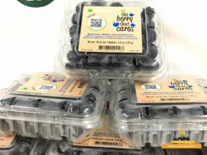 Hộp việt quất nhập khẩu