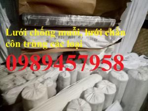 Lưới chống mối, lưới chắn côn trùng inox 304, inox 201, inox 316