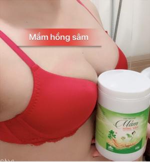Mầm hồng sâm tăng kích thước vòng 1