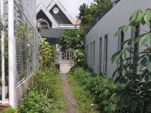 Nhà bán gấp 5x22 tân quí tây Bình Chánh