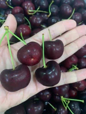 trái cây nhập khẩu