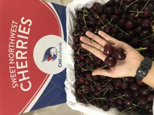 Cherry đỏ Mỹ size 9