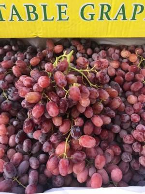 Nho đỏ Crimson Úc