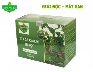 Cà gai leo túi lọc