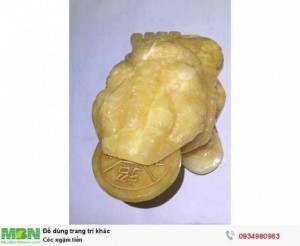 Cóc ngậm tiền ( sỉ & lẻ ib )