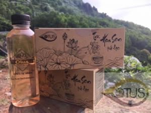 Trà hoa sen Huế - 25 túi lọc - Giúp an thần, ngủ ngon