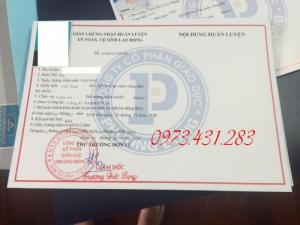 Mẫu chứng nhận ATLD nhóm 1 2