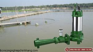 Máy bơm chìm sục khí ao hồ chuyên dùng trong nông nghiệp