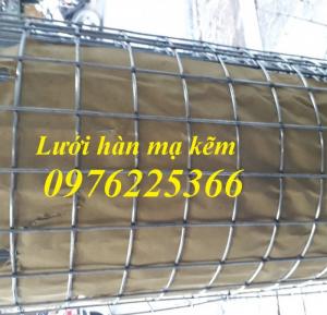 Lưới hàn mạ kẽm D1, D2, D2,5, D3