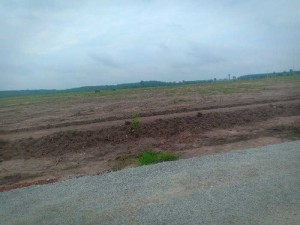 Đất chính chủ. Mặt tiền đường Becamex