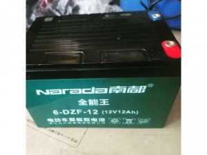 Ác qui xe đạp điện 12v 12A DZF