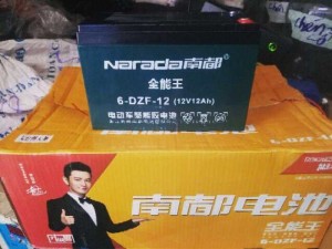 Ác qui xe đạp điện 12v 12A DZF