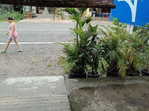Quan cafe can sang nhượng