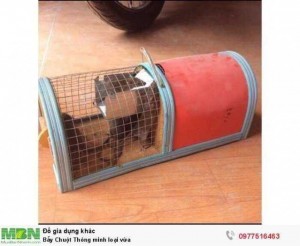 Bẫy Chuột Thông minh loại vừa