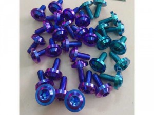 ốc titanium gr5 6li10, 6li15, 6li20 bắt dàn áo che bô cạt te