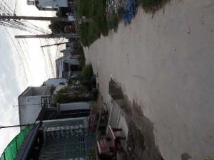 Nhà chính chủ cần bán gấp
