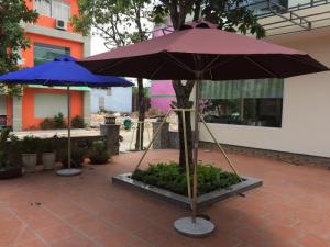dù cafe chính tâm giá rẻ