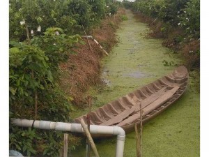 Bán đất, đường ôtô, Phú Hựu, CT, ĐT