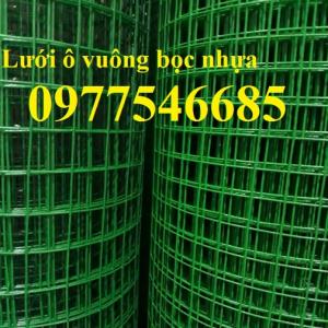 lưới bọc nhựa ô 30x30