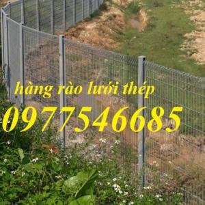hàng rào lưới thép
