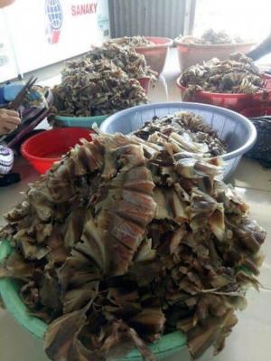 Khô Cá Dứa Thiên Nhiên Chính Hiệu, Khô Cá dứa 1 nắng