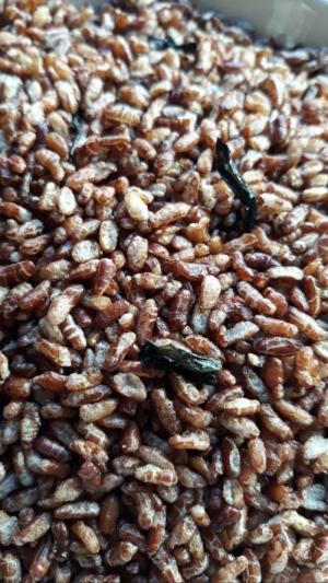 Hủ 300gr Gạo lức sấy rong biển giòn giòn thơm ngon hấp dẫn - Food by Mama